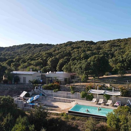 Li Pireddi Villa Aglientu Exteriör bild