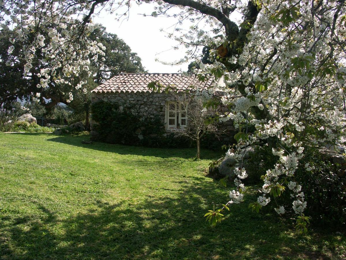 Li Pireddi Villa Aglientu Exteriör bild