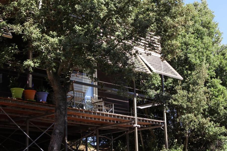 Li Pireddi Villa Aglientu Exteriör bild