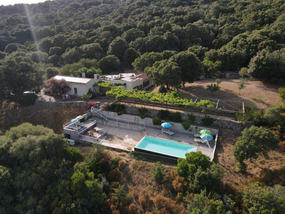 Li Pireddi Villa Aglientu Exteriör bild